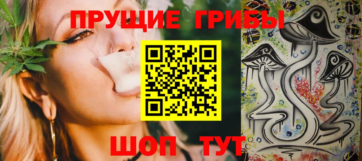Псилоцибиновые грибы прущие грибы Малгобек
