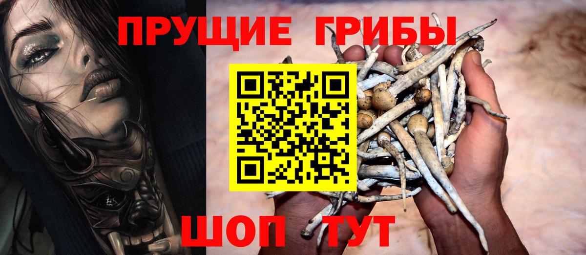 Малгобек  Псилоцибиновые грибы Cubensis  Галлюциногенные грибы мухоморы  Вход с VPN 